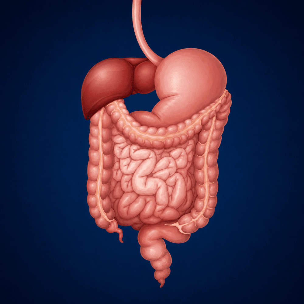 GASTROINTESTINAL DISEASES DIAGNOSIS & TREATMENT